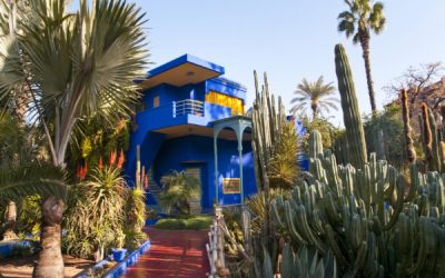 marrakech jardins Majorelle